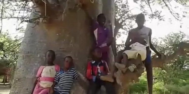 Afrički klinci pjevaju &ldquo;Ponosna moja je zemlja Hercegovina&rdquo; &ndash; Pregenijalni su.