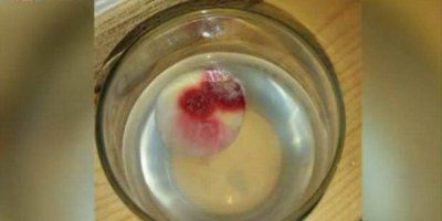 Un&rsquo;ostia consacrata sanguina in una chiesa di Salt Lake City