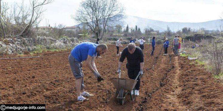  "Marijine Ruke" u plemenitoj akciji posadili krumpir za potrebite