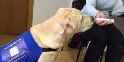 Upoznajte Blata &ndash; psa koji može nanjušiti rak pluća