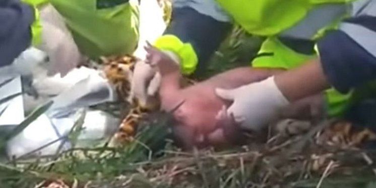 Beba čudesno preživjela stravičnu nesreću, liječnik svjedoči 'To je Božje djelo'