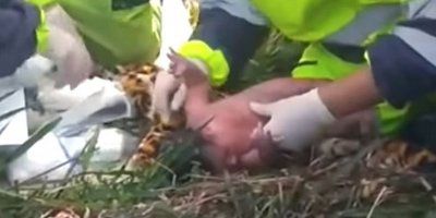 Beba čudesno preživjela stravičnu nesreću, liječnik svjedoči 'To je Božje djelo'