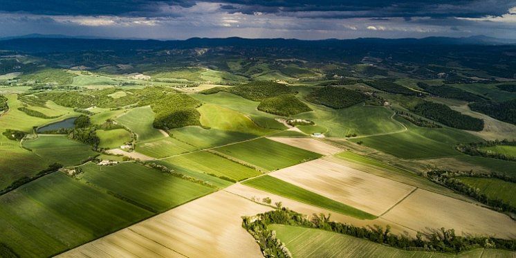 BAVARSKA: Na poljima i uz ceste &ldquo;osvanuli&rdquo; tamnozeleni križevi &ndash; svećenik provjeravao o čemu je riječ