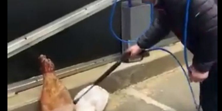 VIDEO 'Inovacija' iz Tomislavgrada postala hit na Facebooku