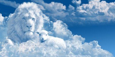 Pater Arek Krasicki: Kako do prave sreće?