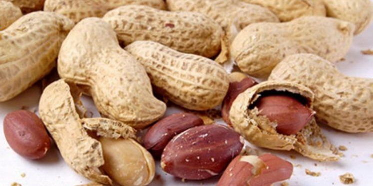 'Molim te Gospodine Tvorče, hoćeš li mi reći zašto je kikiriki stvoren?'