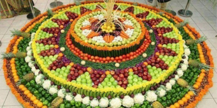 Mudrost Božjeg stvaranja-"Bog je mislio na sve"