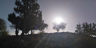 Dr. med. Antun Lisec: Znakovi vremena