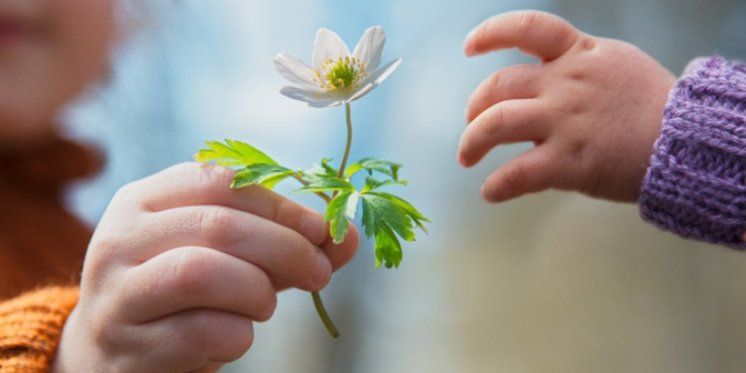 Obiteljski vodič o vrlinama &ndash; darežljivost