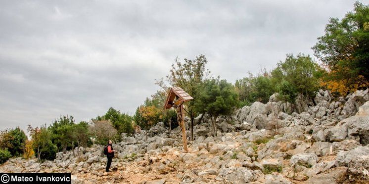 Zahvalnica na Silvestrovo - Staru godinu