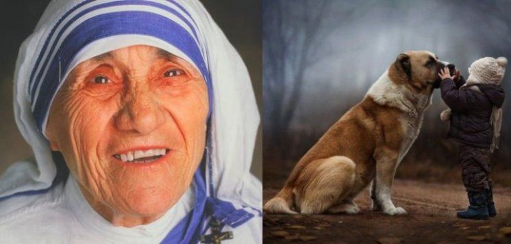 Sveta Majka Terezija o životinjama: 'I njih je stvorila ista Božja ruka puna ljubavi koja je i nas stvorila ... naša je dužnost štititi ih i promicati njihovu dobrobit'