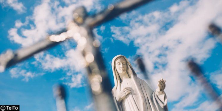 "Danas vas na poseban način pozivam, da uzmete u ruke križ i da promatrate rane Isusove"