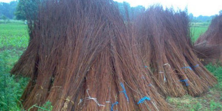 Bičem do uskrsnog "blagoslova"