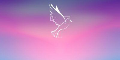 Vlč. Tomislav Ivančić: Duh Sveti je vrhunska sila svijeta