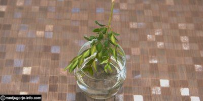 L'acqua miracolosa aiuta una famiglia