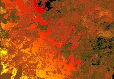 test članak - NE IDE na instant