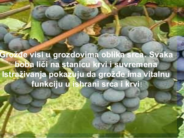 grozde.jpg