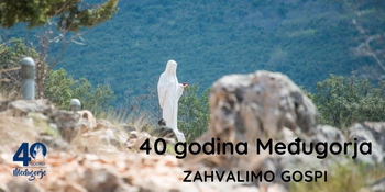 40 Godina međimurja